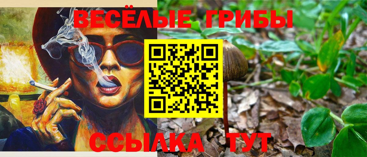 Галлюциногенные грибы Psilocybine cubensis  Вход с VPN  Елизово  купить закладку  Галлюциногенные грибы Magic Shrooms 