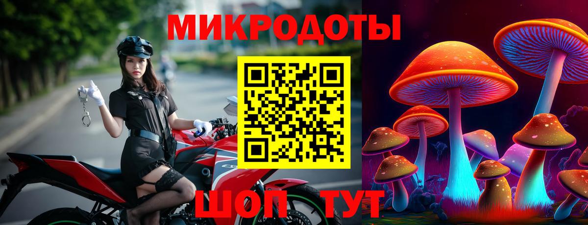 Псилоцибиновые грибы Cubensis Елизово